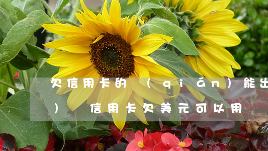 欠信用卡的錢(qián)能出國(guó)嗎（信用卡欠美元可以用嗎）