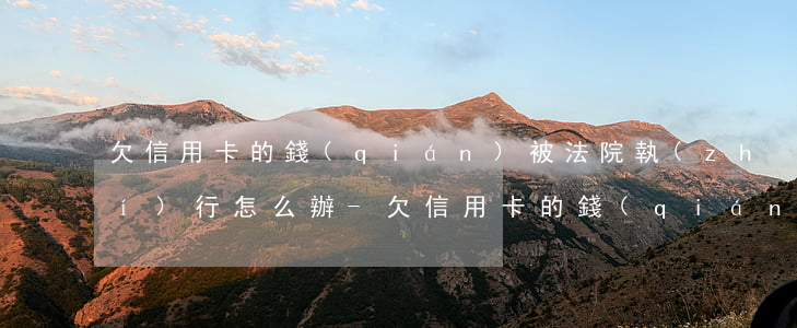欠信用卡的錢(qián)被法院執(zhí)行怎么辦-欠信用卡的錢(qián)被法院執(zhí)行怎么辦呢