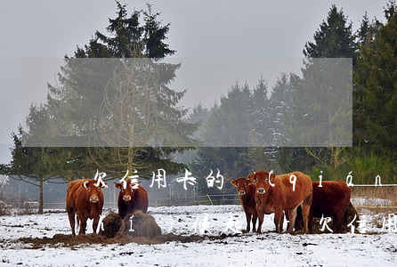 欠信用卡的錢(qián)銀行什么時(shí)候起訴-欠信用卡的錢(qián)銀行什么時(shí)候起訴我