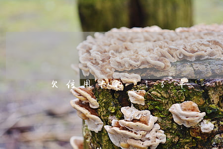 欠信用卡的錢15年