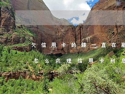 欠信用卡的錢一直在產(chǎn)生利息 怎么處理（信用卡利息還不上咋整）