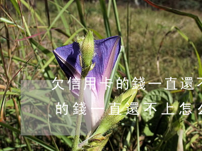 欠信用卡的錢一直還不上怎么辦-欠信用卡的錢一直還不上怎么辦呢