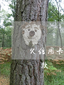 欠信用卡的錢三年了(欠信用卡錢三年了怎么還款)