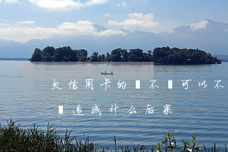 欠信用卡的錢不還可以不(欠信用卡的錢不還會造成什么后果)