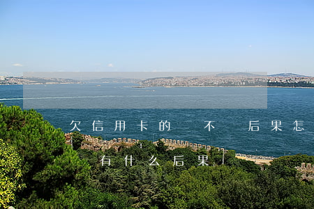 欠信用卡的錢不還后果怎樣(欠信用卡的錢不還有什么后果)