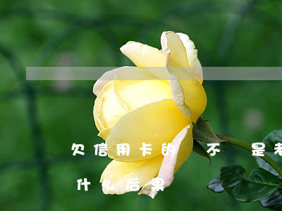 欠信用卡的錢不還是老欶嗎(欠信用卡不還是什么后果)