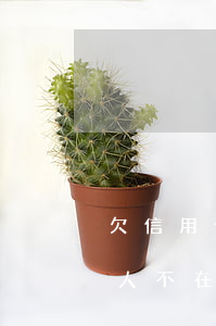 欠信用卡的錢人不在了怎么還（欠信用卡的錢人不在了）