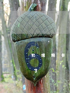 欠信用卡的錢他不催了(欠信用卡的錢他不催了嗎)