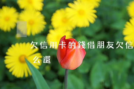 欠信用卡的錢借朋友(欠信用卡的錢借朋友怎么還)
