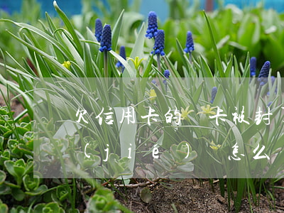 欠信用卡的錢卡被封了(欠信用卡賬戶被凍結(jié)會怎么樣)