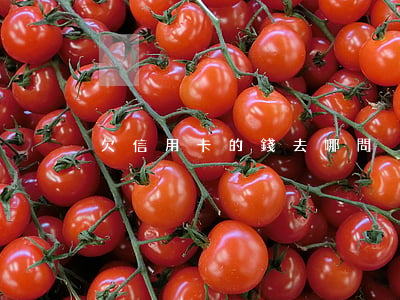 欠信用卡的錢去哪問