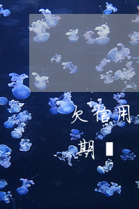 欠信用卡的錢可以分期還嗎（欠信用卡能做分期嗎）