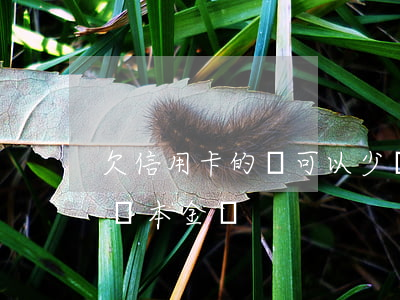 欠信用卡的錢可以少還嗎 欠信用卡的錢可以還本金嗎