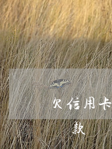 欠信用卡的錢如何上岸-欠信用卡應該怎么還款