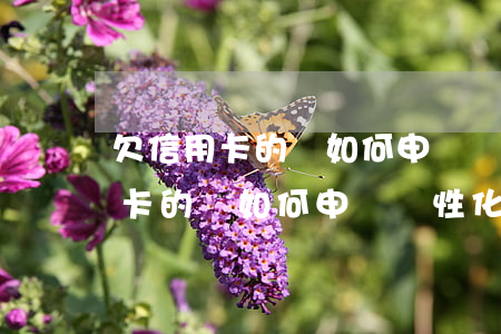 欠信用卡的錢如何申請個性化分期-欠信用卡的錢如何申請個性化分期還款