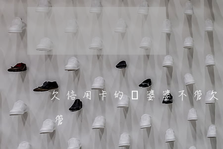 欠信用卡的錢婆婆不管(欠信用卡的錢婆婆不管)