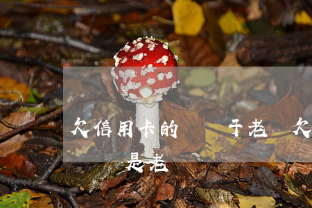 欠信用卡的錢屬于老賴(欠信用卡的錢屬于老賴還是老賴)
