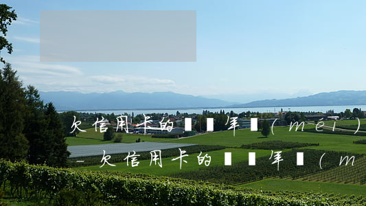 欠信用卡的錢幾年沒(méi)還了怎么辦-欠信用卡的錢幾年沒(méi)還了怎么辦呢