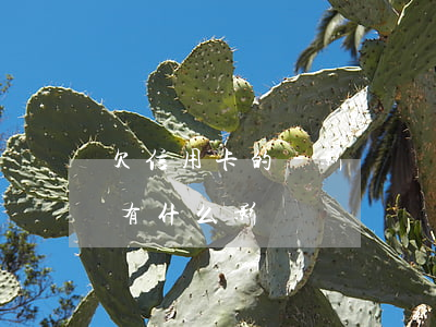 欠信用卡的錢影響進廠 欠信用卡的錢對工作有什么影響