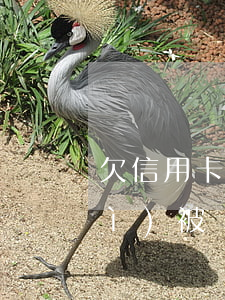 欠信用卡的錢微信賬號(hào)會(huì)被凍結(jié)嗎?（信用卡逾期多久會(huì)凍結(jié)微信賬號(hào)）