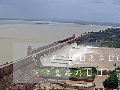 欠信用卡的錢怎么轉(zhuǎn)賬(欠信用卡直接打錢進(jìn)去就可以了嗎)