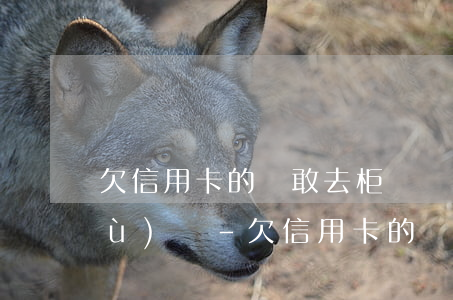 欠信用卡的錢敢去柜臺辦業(yè)務(wù)嗎-欠信用卡的錢敢去柜臺辦業(yè)務(wù)嗎安全嗎