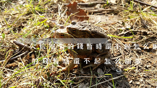 欠信用卡的錢暫時還不起怎么辦-欠信用卡的錢暫時還不起怎么辦呢