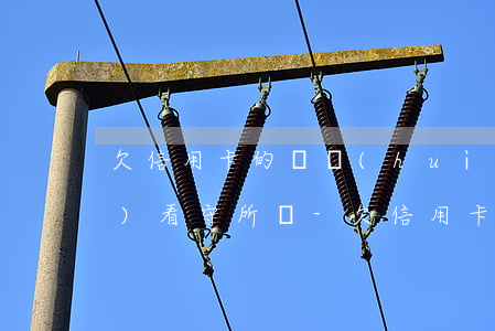 欠信用卡的錢會(huì)被送進(jìn)看守所嗎-欠信用卡的錢會(huì)被送進(jìn)看守所嗎知乎