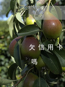欠信用卡的錢會立案嗎 欠信用卡的錢會立案嗎