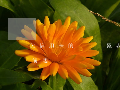 欠信用卡的錢會連累老婆嗎（欠信用卡判刑和前妻）