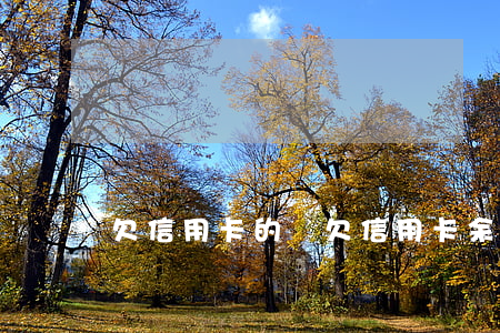 欠信用卡的錢（欠信用卡余額什么意思）