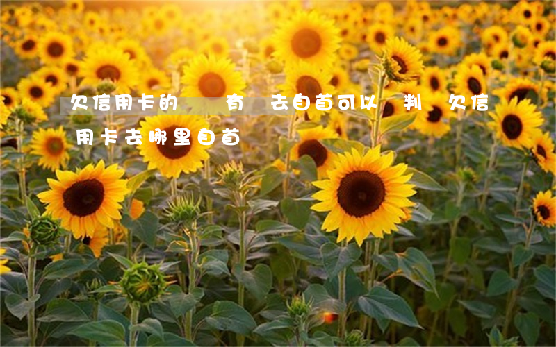 欠信用卡的錢沒有還,去自首可以輕判嗎?（欠信用卡去哪里自首）