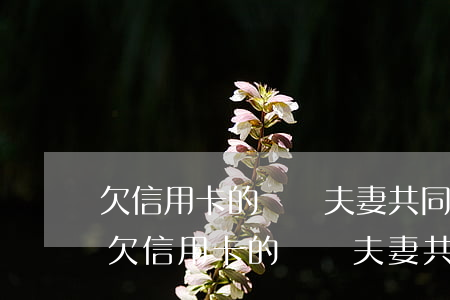 欠信用卡的錢為夫妻共同債務(wù)嗎-欠信用卡的錢為夫妻共同債務(wù)嗎怎么還