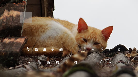 欠信用卡的錢無(wú)力償還可以不還嗎-欠信用卡的錢無(wú)力償還可以不還嗎怎么辦