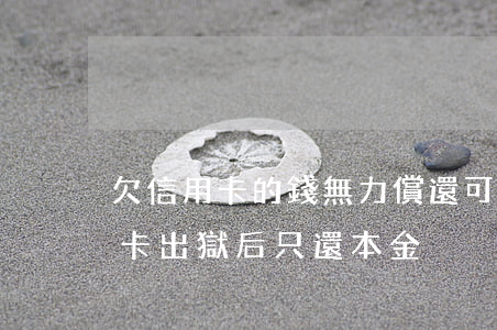 欠信用卡的錢無力償還可以只還本金嗎（信用卡出獄后只還本金）
