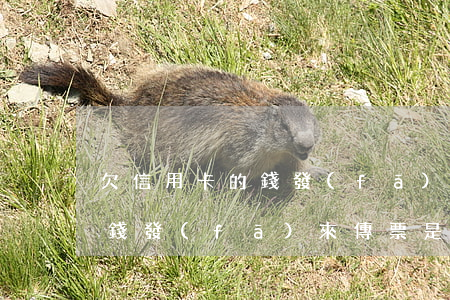 欠信用卡的錢發(fā)來傳票(欠信用卡的錢發(fā)來傳票是真的嗎)