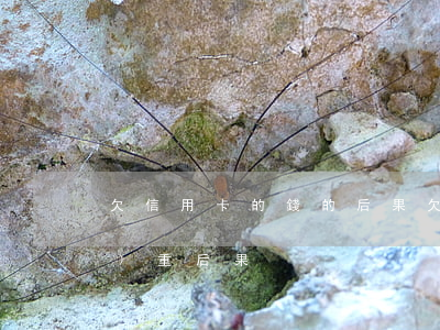 欠信用卡的錢的后果(欠信用卡最嚴(yán)重后果)