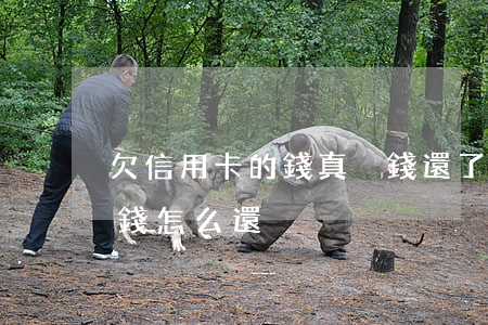 欠信用卡的錢真沒錢還了怎么辦（欠了信用卡錢怎么還）