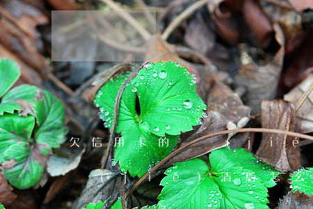 欠信用卡的錢結(jié)清(欠信用卡的錢結(jié)清后怎么辦)