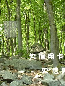 欠信用卡的錢能不能去銀行協(xié)商-欠信用卡的錢能不能去銀行協(xié)商還款