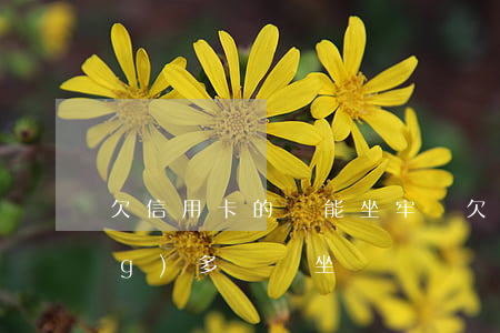 欠信用卡的錢能坐牢嗎（欠信用卡風(fēng)多錢會坐）