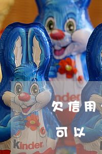 欠信用卡的錢能辦理同銀行卡（個人欠信用卡可以債務(wù)重組嗎）