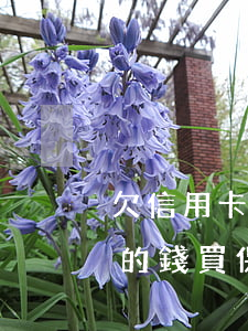 欠信用卡的錢買保險會被找到嗎-欠信用卡的錢買保險會被找到嗎安全嗎