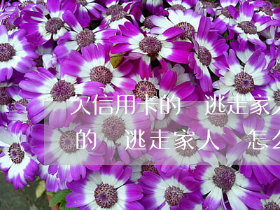 欠信用卡的錢逃走家人會怎么樣-欠信用卡的錢逃走家人會怎么樣處理