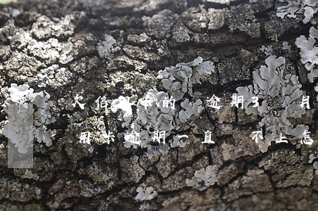 欠信用卡的錢逾期3個月了還不上怎么辦（信用卡逾期一直還不上怎么辦）