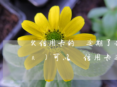欠信用卡的錢逾期了每個月還一點(diǎn)可以嗎（信用卡逾期好幾個月沒錢怎么辦）