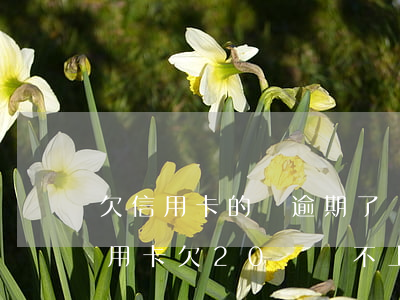 欠信用卡的錢逾期了還不上怎么辦-多張信用卡欠20萬還不上怎么辦