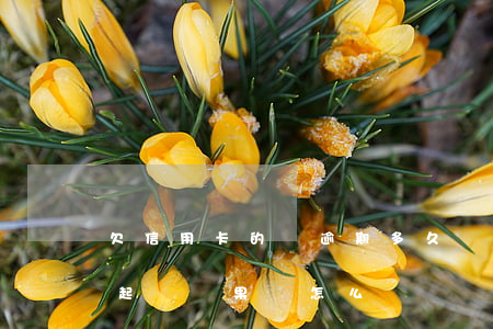 欠信用卡的錢逾期多久會被起訴（信用卡逾期起訴結果會怎么樣）