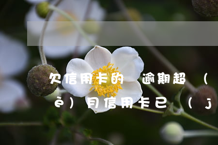 欠信用卡的錢逾期超過(guò)三個(gè)月（信用卡已經(jīng)逾期3個(gè)月）