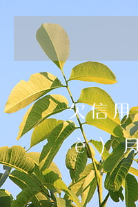 欠信用卡的錢逾期超過(guò)三個(gè)月(欠信用卡3萬(wàn)逾期三個(gè)月)